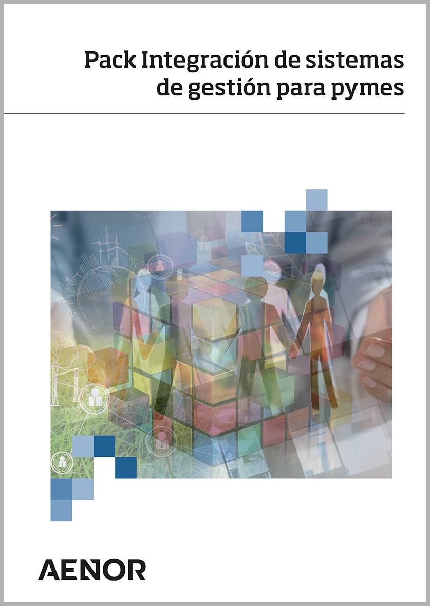 Pack Integración de sistemas de gestión para pymes